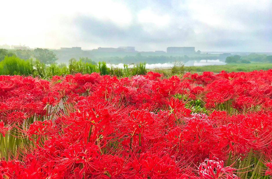 三郷という地で