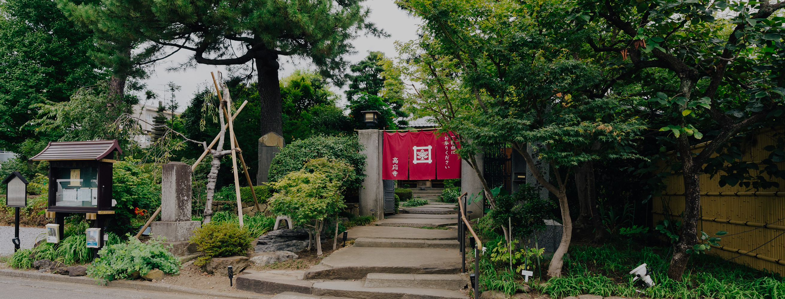 高応寺について